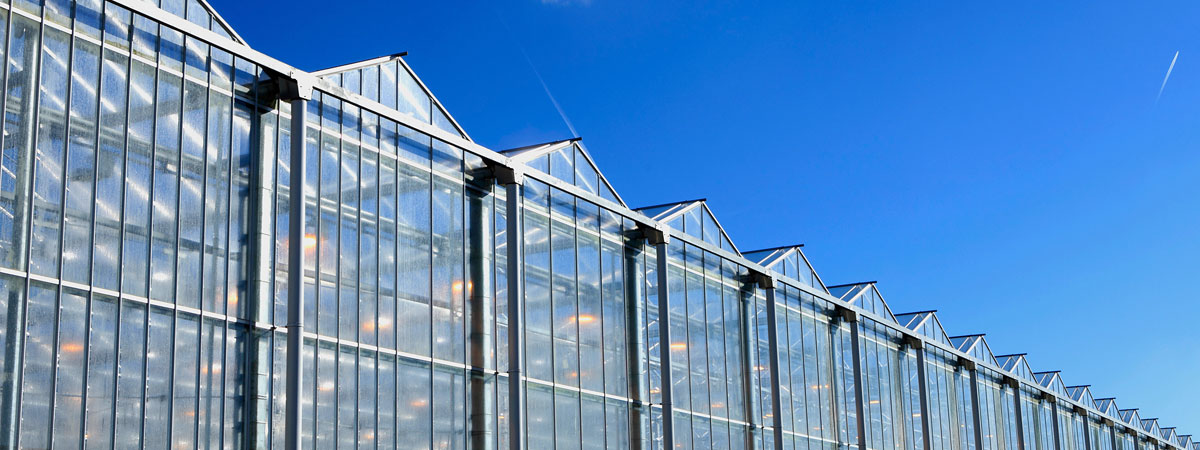 Construction of greenhouse complexes