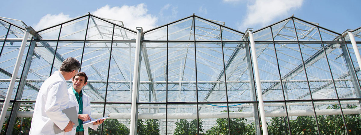 Greenhouse maintenance